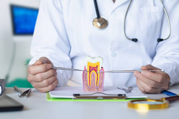 Best Emergency Dental Extractions in Claude, TX